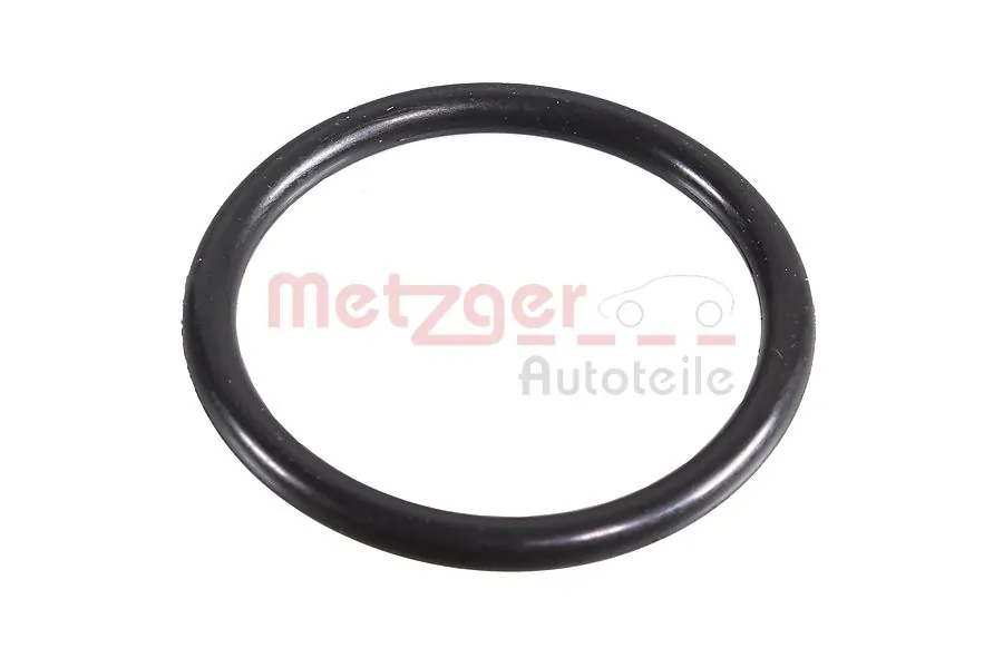 2430059 Metzger