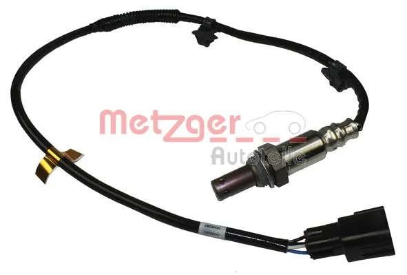 0893381 Metzger