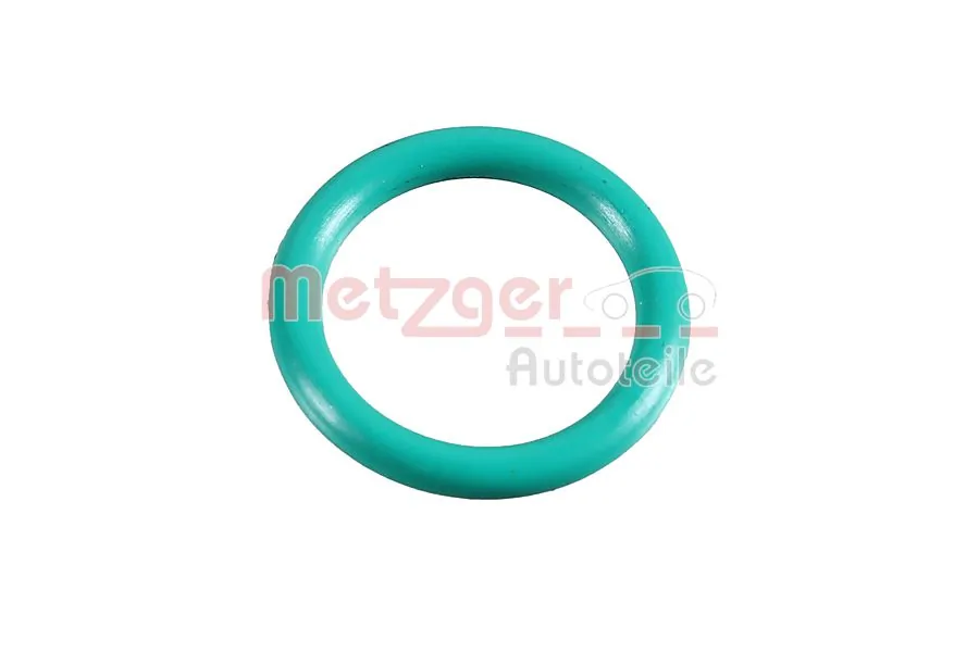 2430074 Metzger