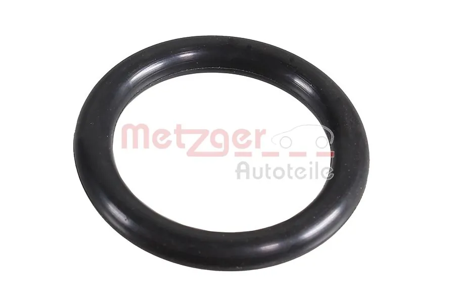 2430116 Metzger