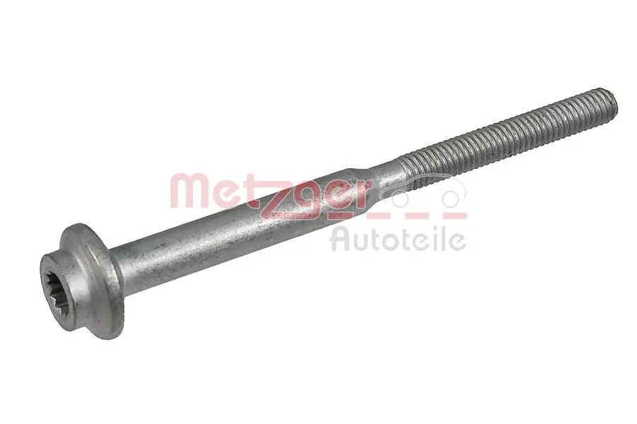 0873028 Metzger