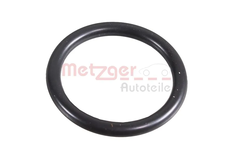 2430045 Metzger