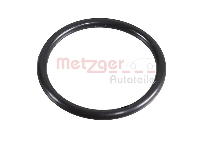 2430067 Metzger