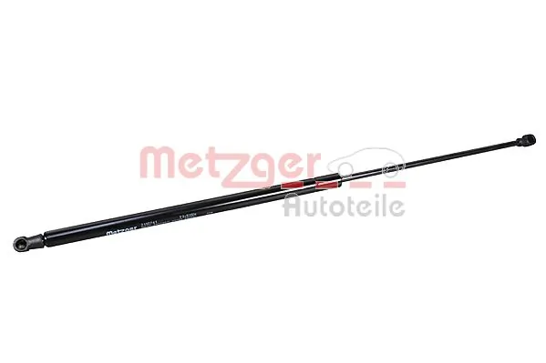 2110741 Metzger