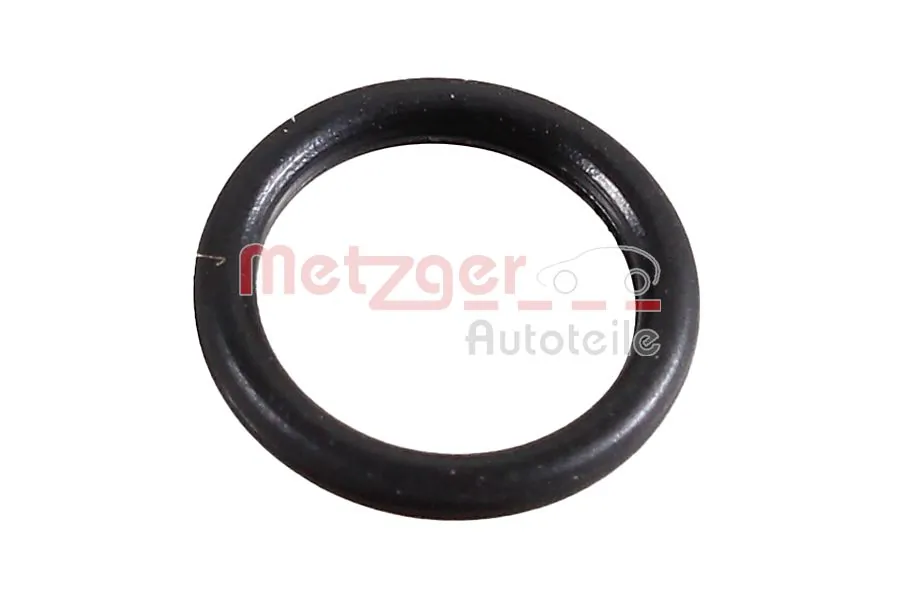 2430056 Metzger