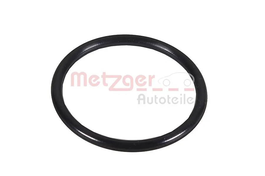 2430159 Metzger