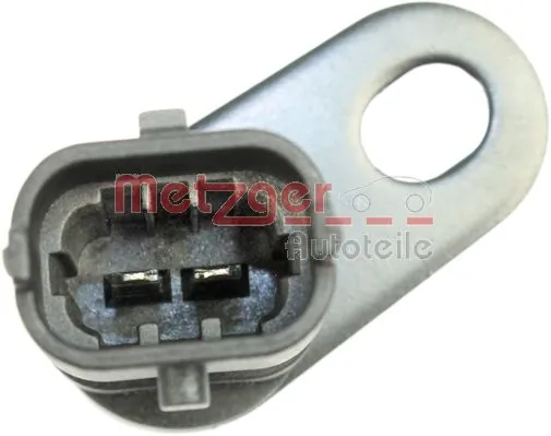 0902369 Metzger
