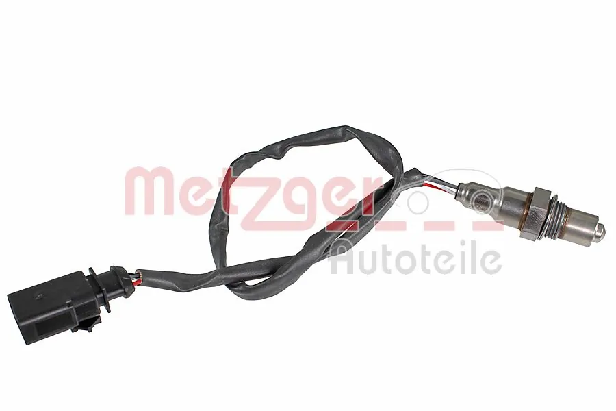 0895653 Metzger
