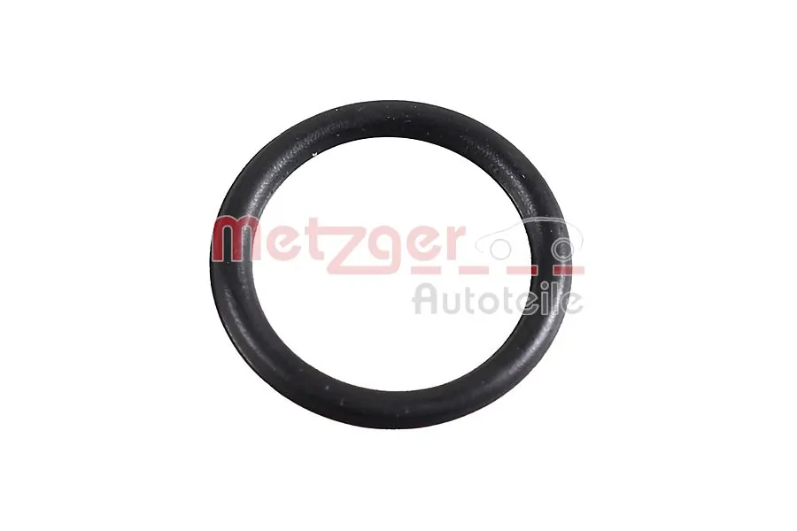 2430028 Metzger