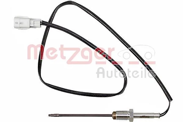 0894812 Metzger