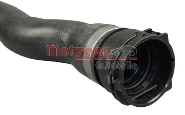 2420549 Metzger