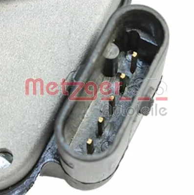 0892445 Metzger Mariposa de admisión