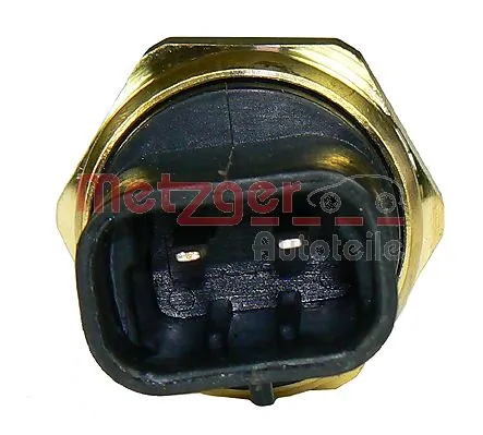 0915030 Metzger