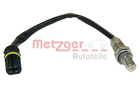 0893021 Metzger