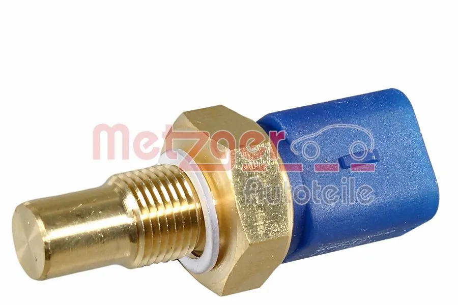 0905246 Metzger