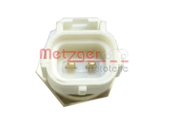 0905149 Metzger