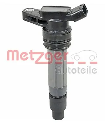 0880474 Metzger