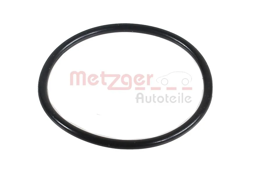 2430030 Metzger