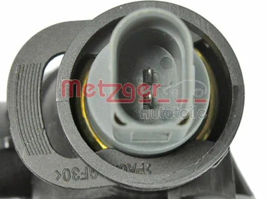 4010092 Metzger