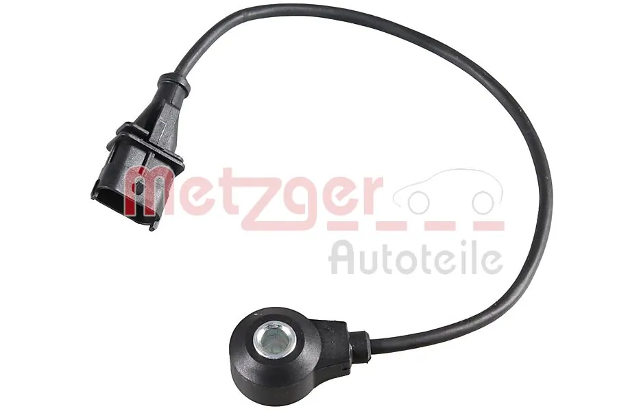 0907038 Metzger