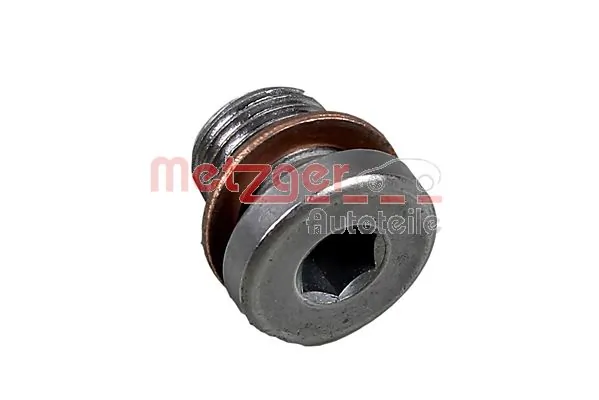 8030065 Metzger