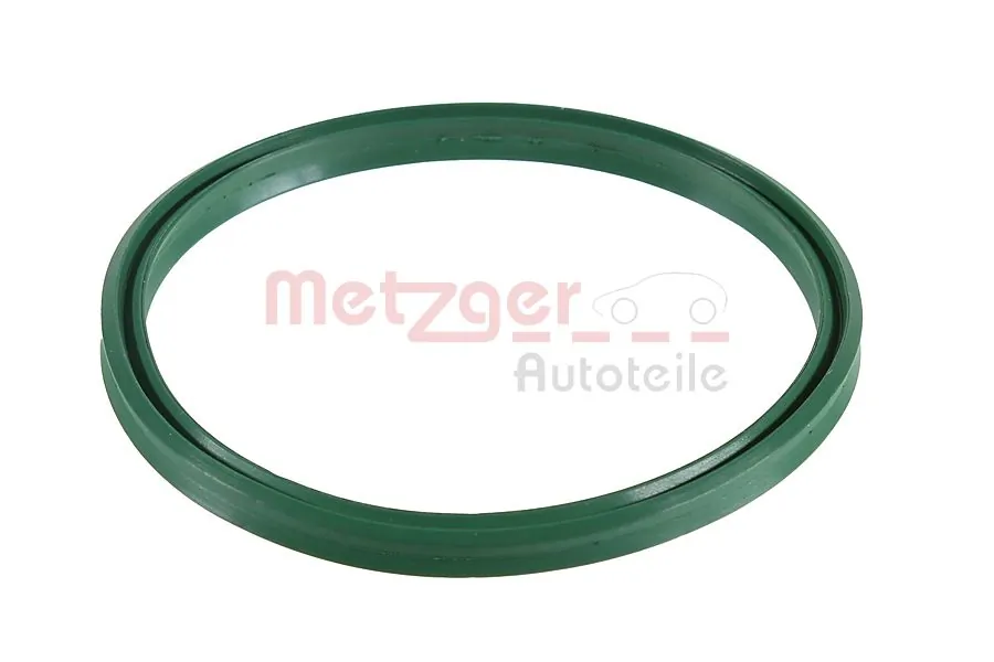 2430024 Metzger
