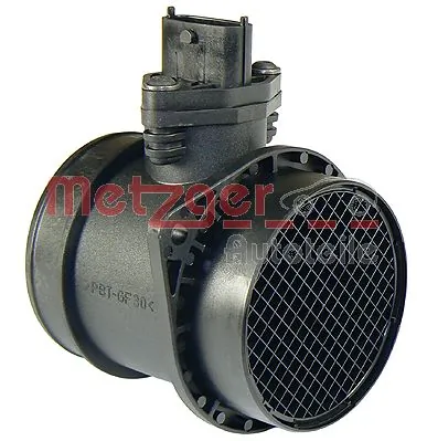 0890218 Metzger