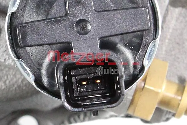Bomba de alta presión de combustible Lizarte R5WS40094 precio, desde 152,99 EUR