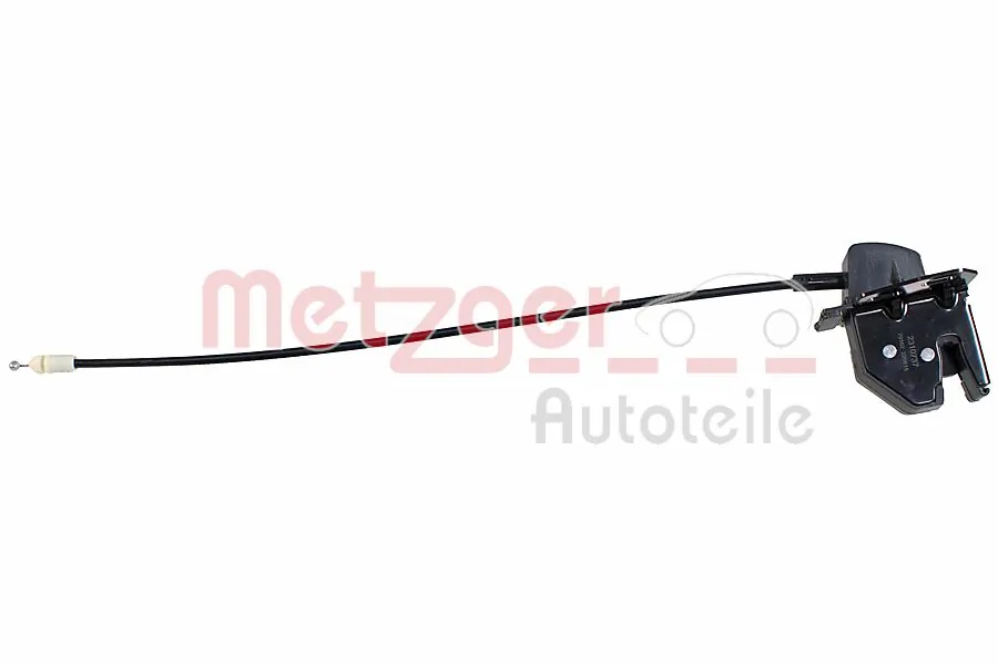 2310737 Metzger