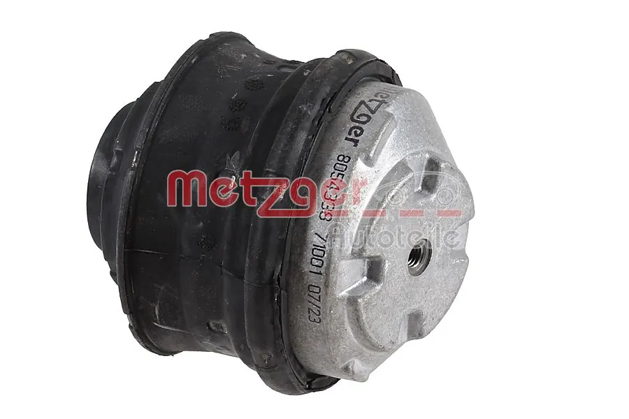 8054338 Metzger