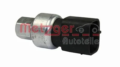 0917068 Metzger