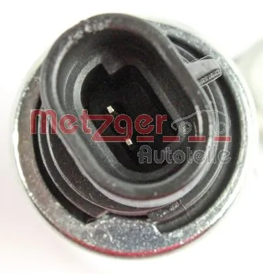 0899012 Metzger