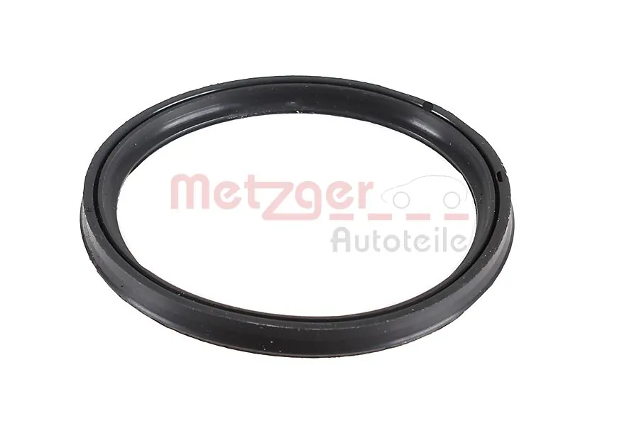 2430136 Metzger