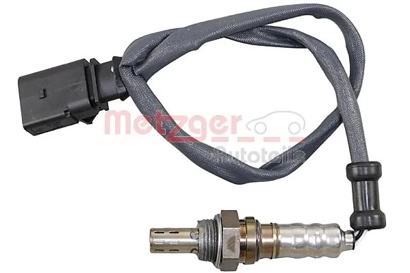 0895475 Metzger