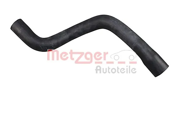 2421482 Metzger