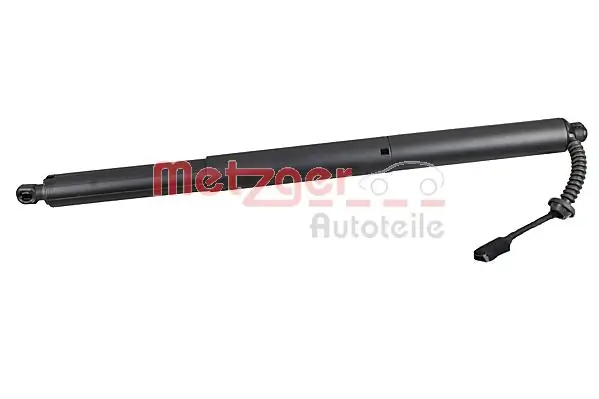 2115002 Metzger