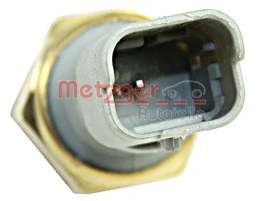 0910102 Metzger