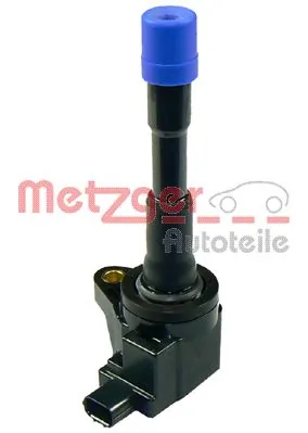 0880145 Metzger