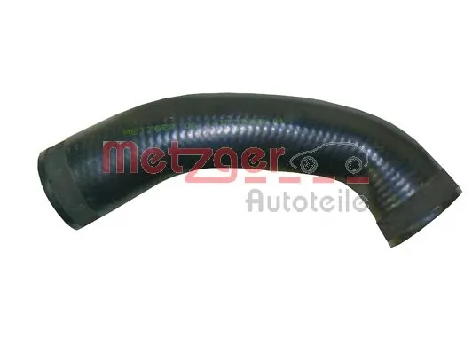 2400081 Metzger
