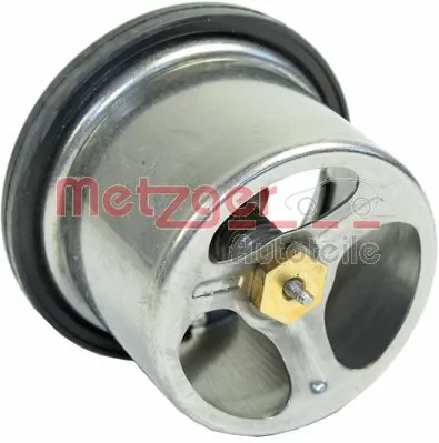 4006269 Metzger