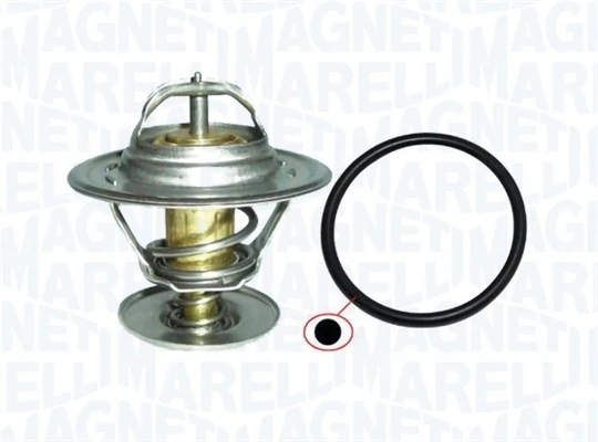 352317101000 Magneti Marelli