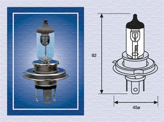 002156100000 Magneti Marelli
