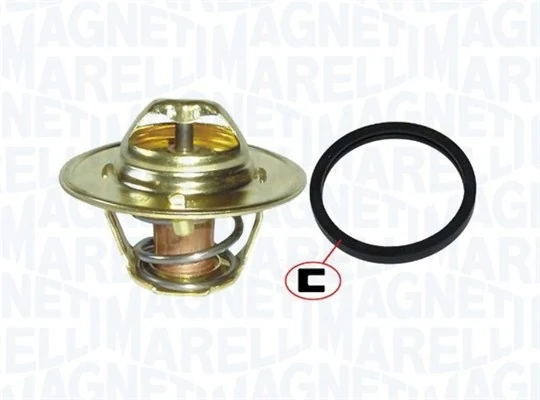 352317101170 Magneti Marelli