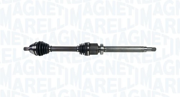 302004190170 Magneti Marelli