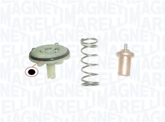 352317102170 Magneti Marelli