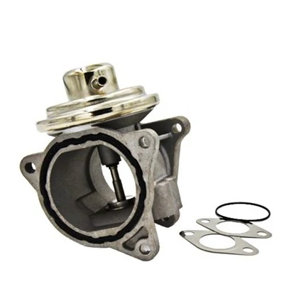 Comprar Válvula EGR de recirculación de gases Skoda Fabia II 5J2, 542, 572, 582 a bajo precio