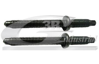83295 3RG Tornillo de fijación del inyector