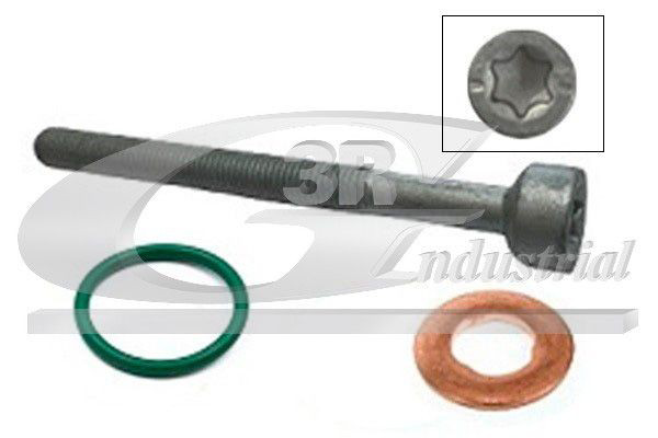 99501 3RG Tornillo de fijación del inyector
