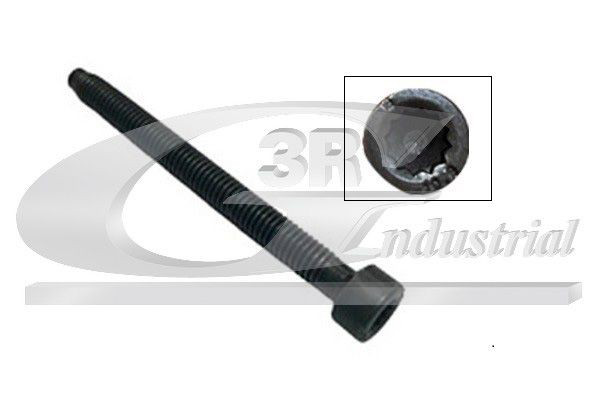 99701 3RG Tornillo de fijación del inyector