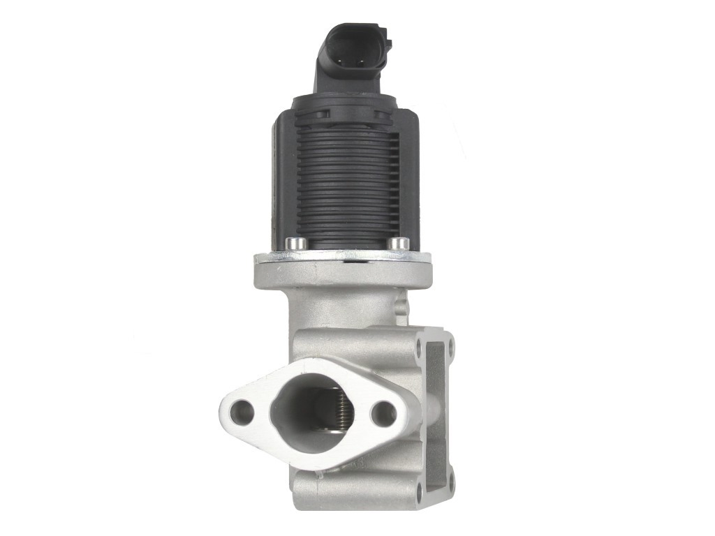 Válvula EGR para Fiat Bravo II 198